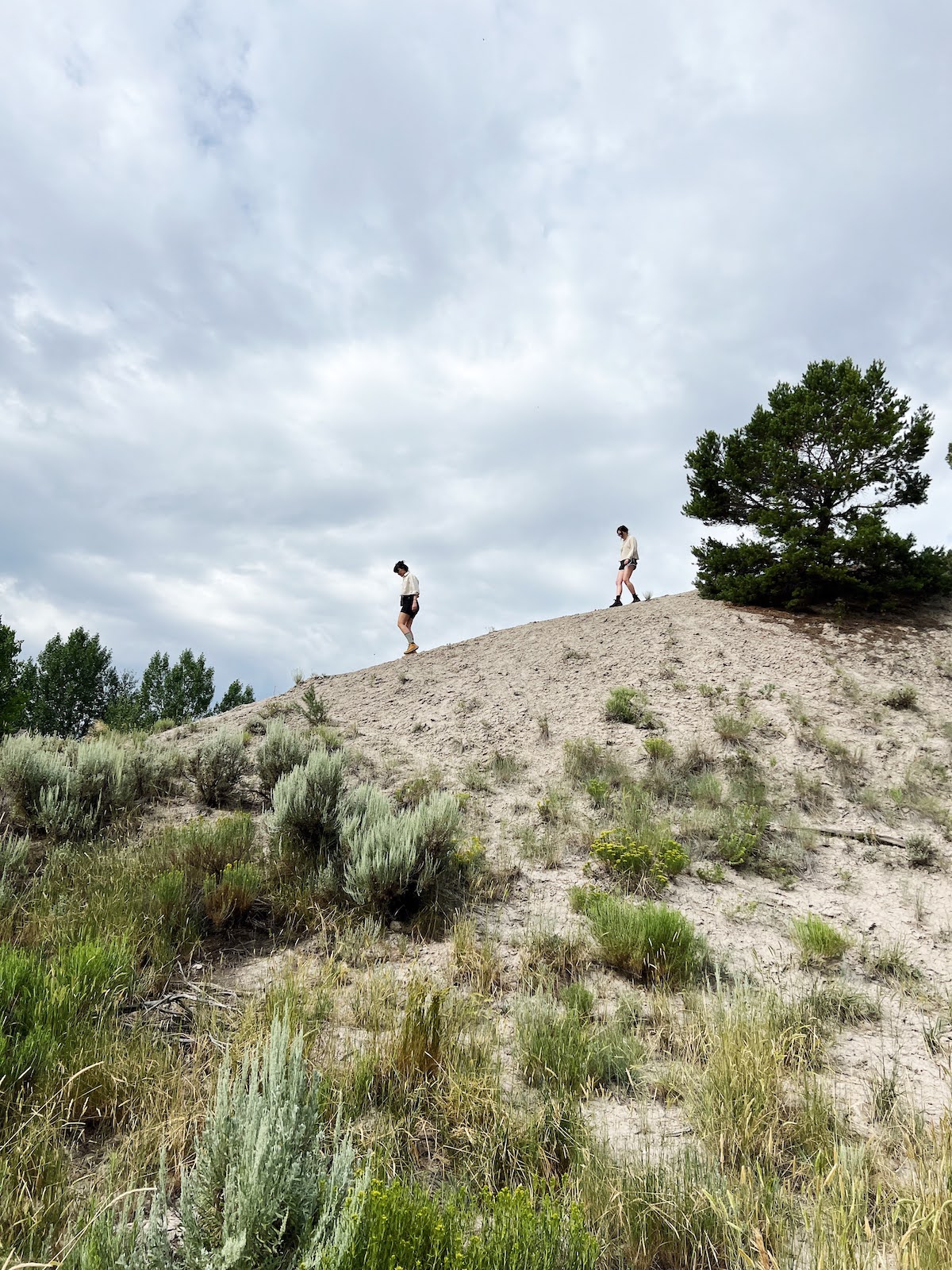 Two hikers descending a brush-filled hill
