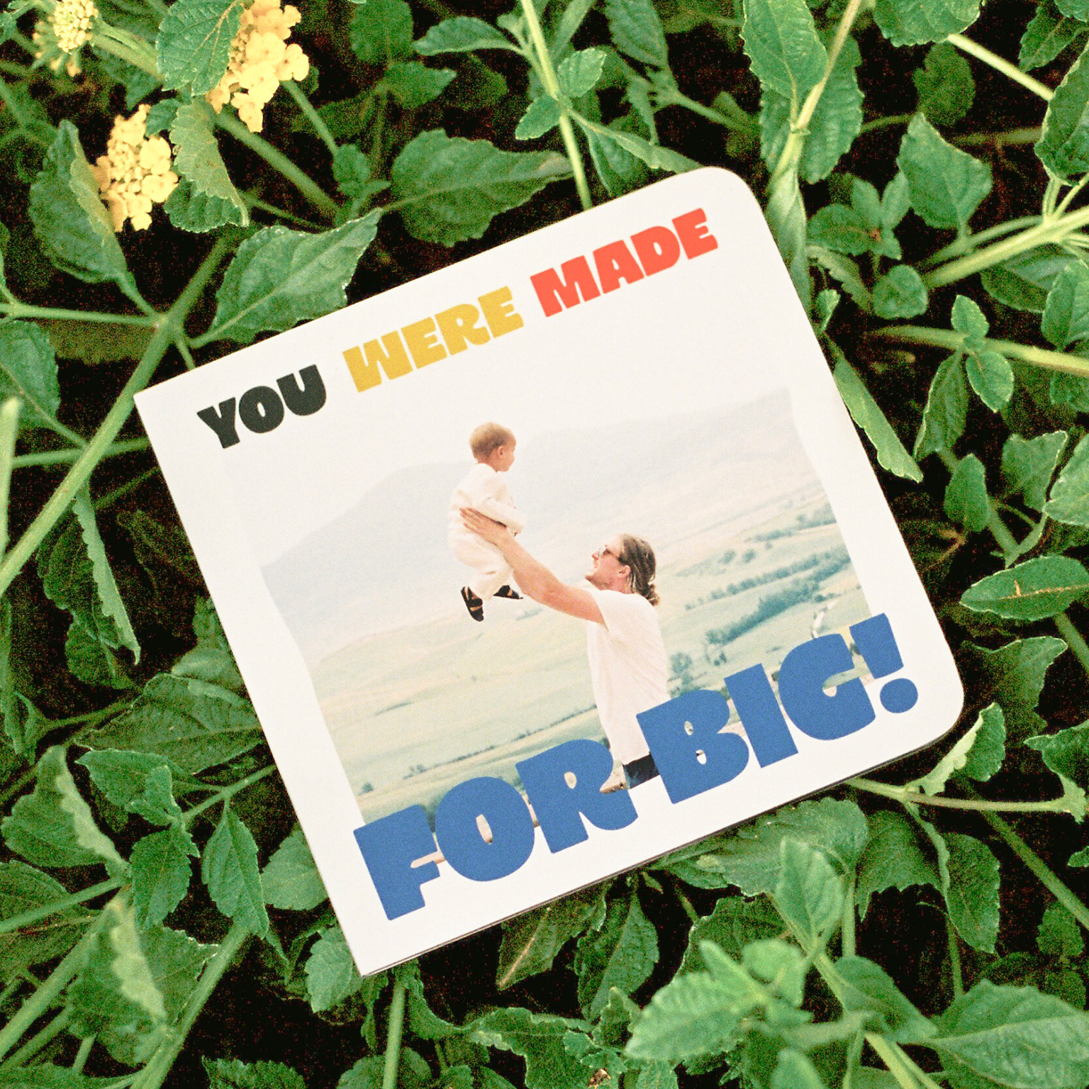 New! Dad's Story Board Book