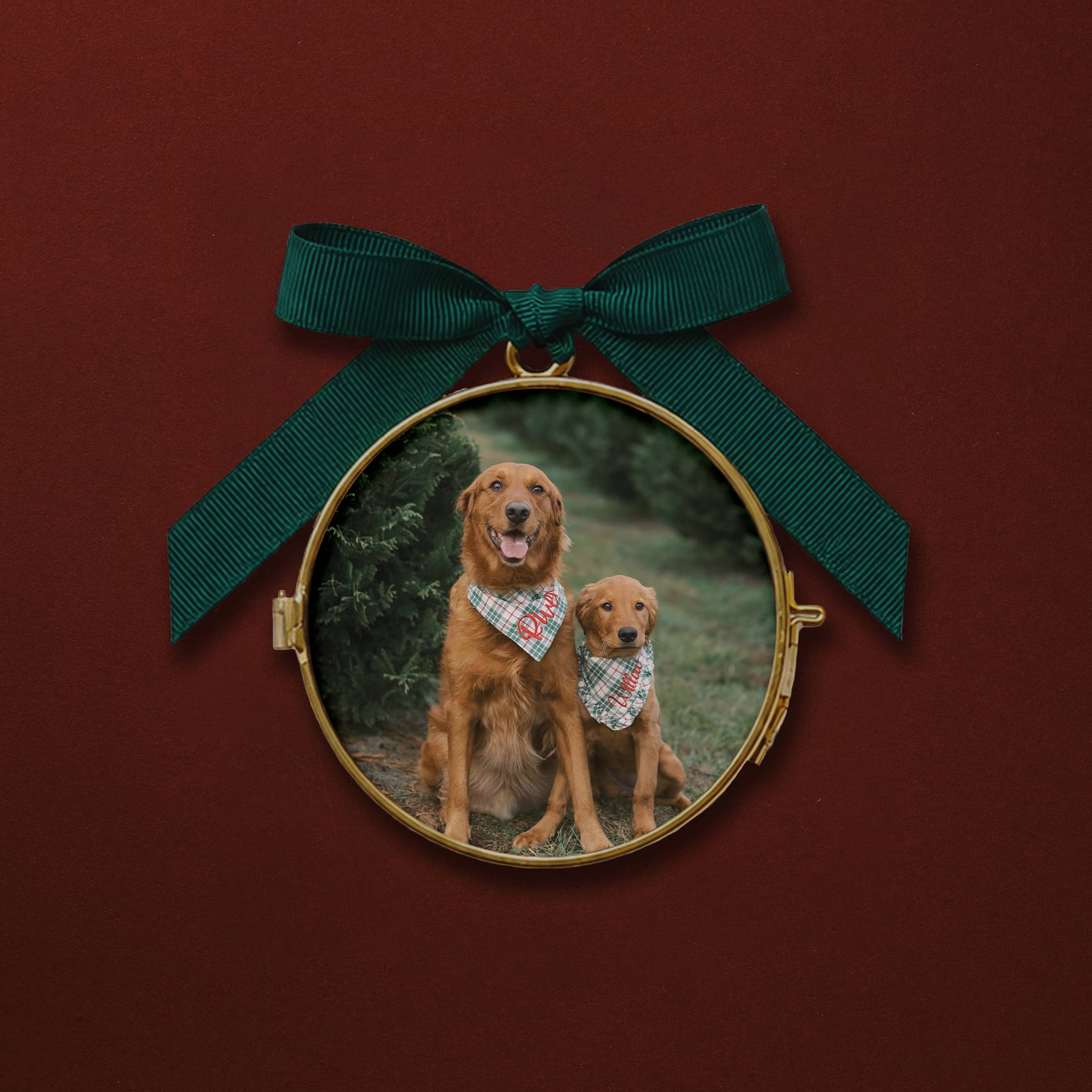 Custom Pet Photo Ornament - Pressed Glass by Artifact Uprising | Photo Holders