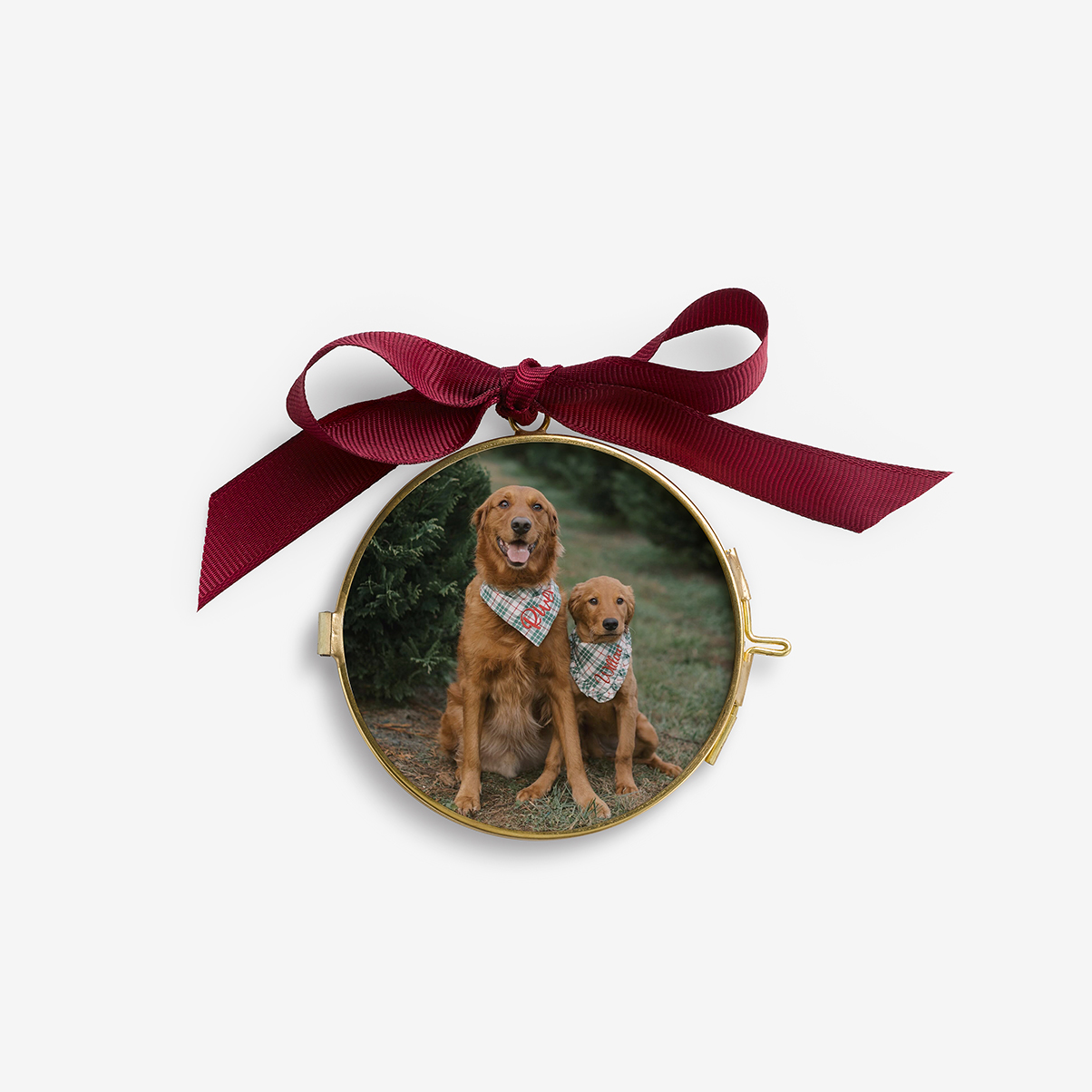 Custom Pet Photo Ornament - Pressed Glass by Artifact Uprising | Photo Holders