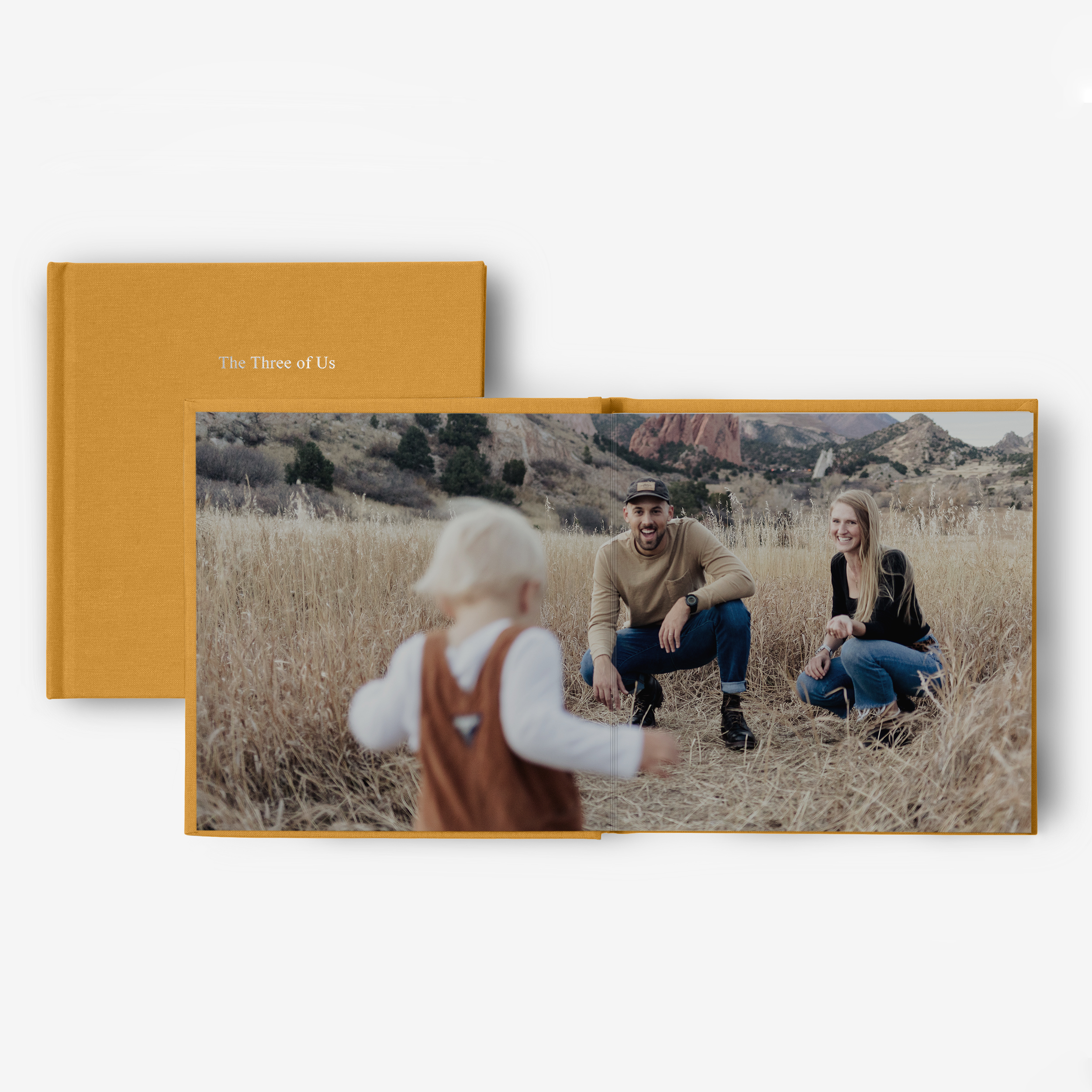 Family Everyday Photo Book by Artifact Uprising | Books